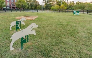 Dog park